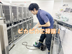 先生たちもモデル犬のお世話☆